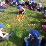 Team work on the apple count!